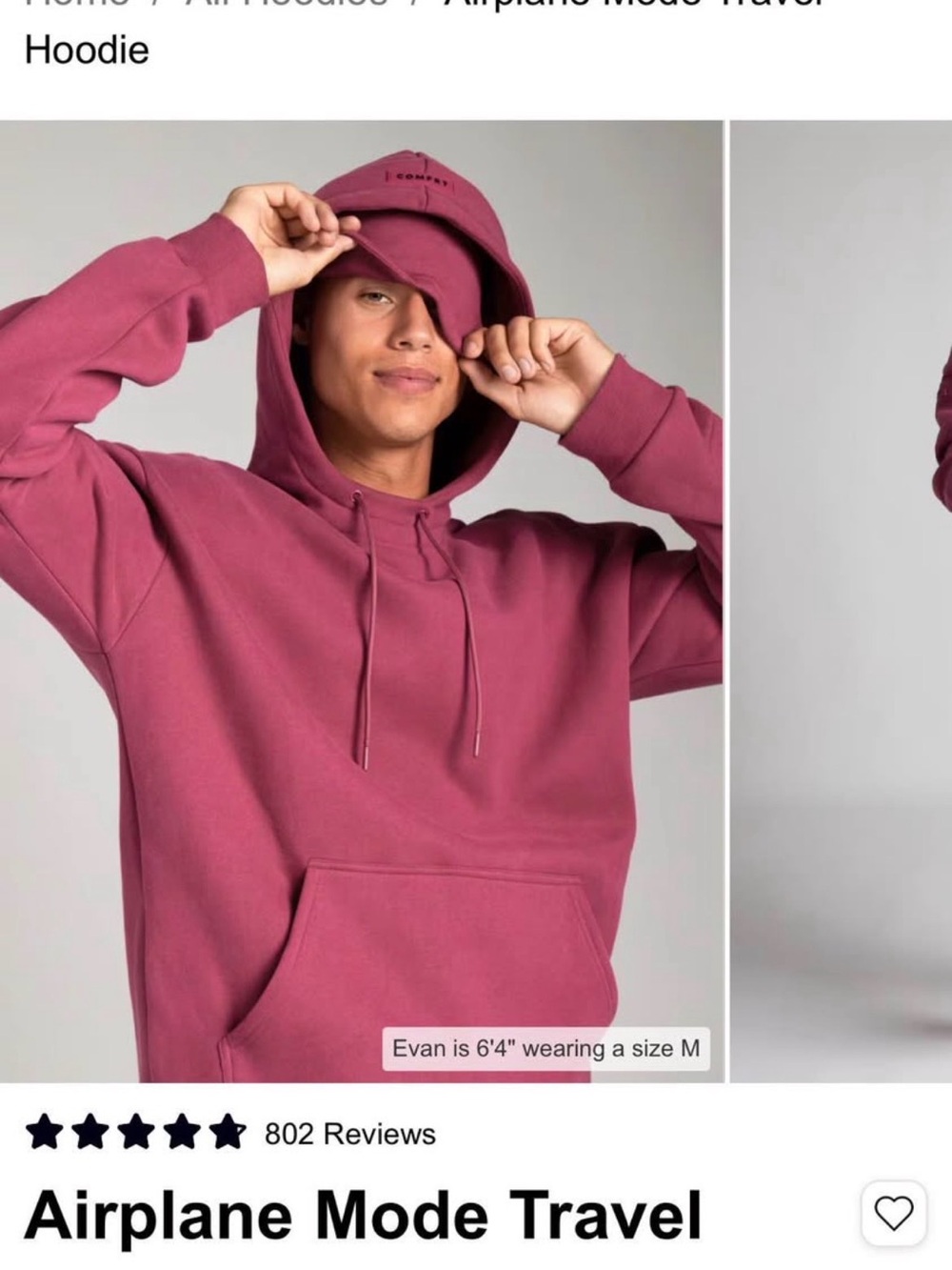 Airplane Mode Travel Hoodie - Dusty Rose - Picture 3 of 8